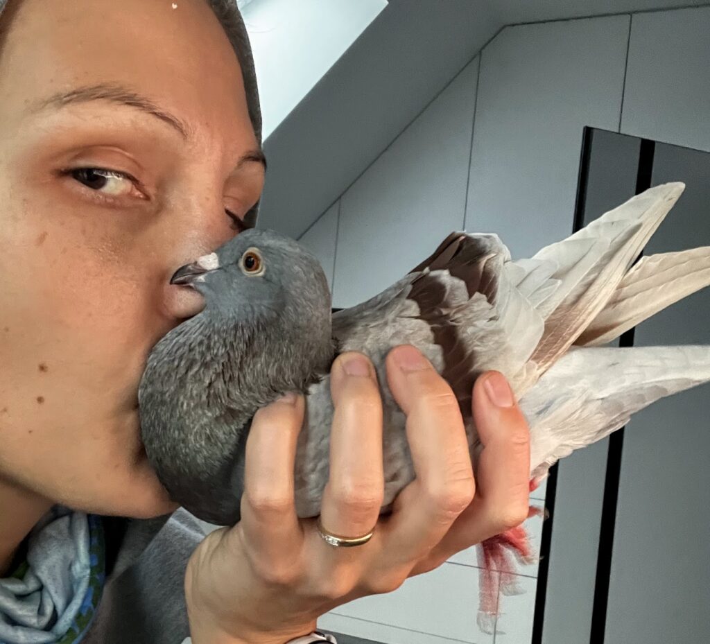 My pet pigeon and me