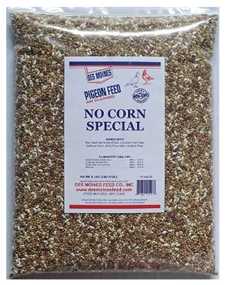 Best pigeon feed:  No Corn Special