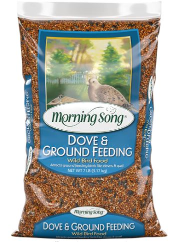 Best pigeon feed: Morning Song Dove & Ground Feeding