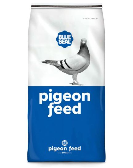 The best pigeon feed: Blue Seal